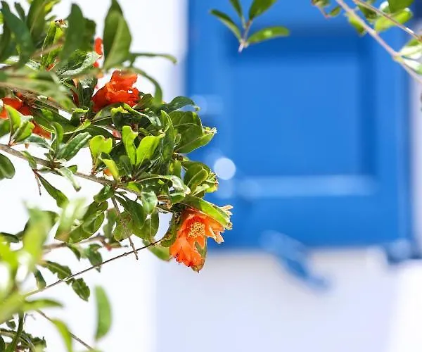 Mykonos In White فيلة