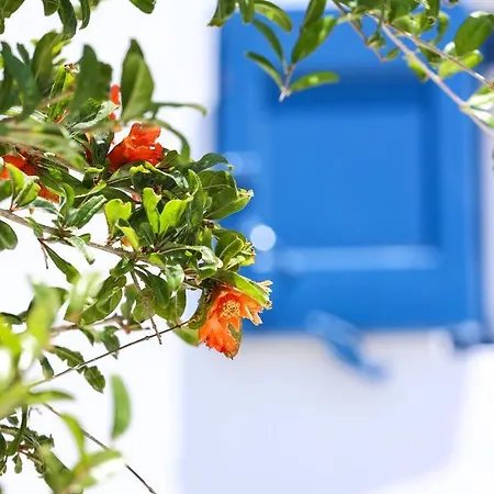 Mykonos In White 别墅